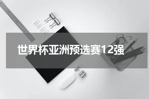 世界杯亚洲预选赛12强