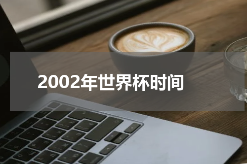 2002年世界杯时间