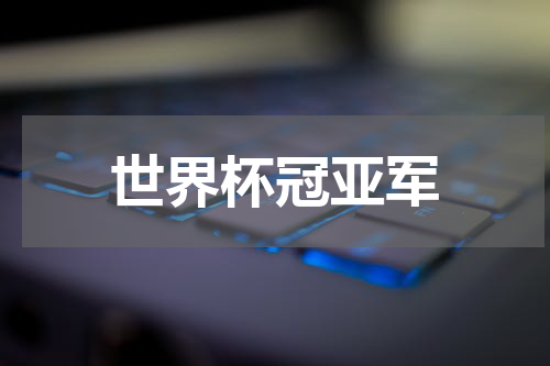 世界杯冠亚军