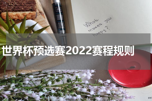 世界杯预选赛2022赛程规则