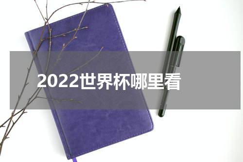2022世界杯哪里看