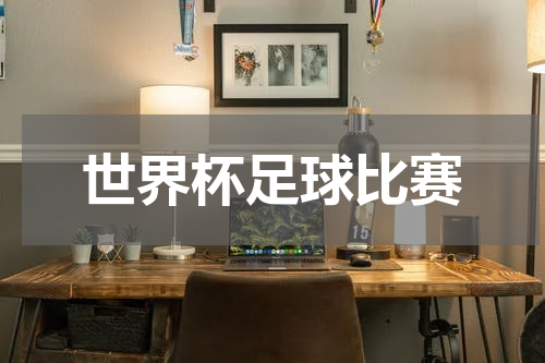 世界杯足球比赛