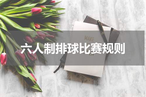 六人制排球比赛规则