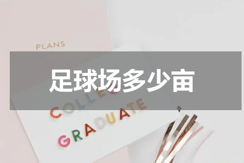 足球场多少亩