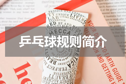 乒乓球规则简介