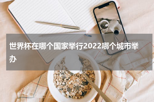 世界杯在哪个国家举行2022哪个城市举办