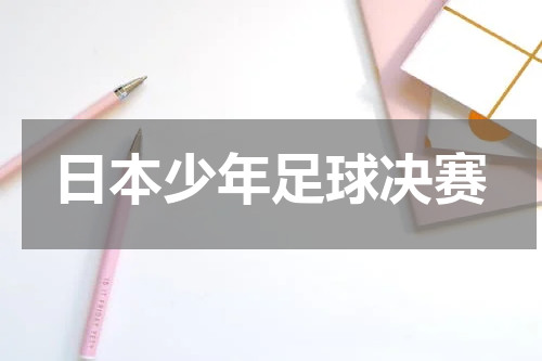 日本少年足球决赛