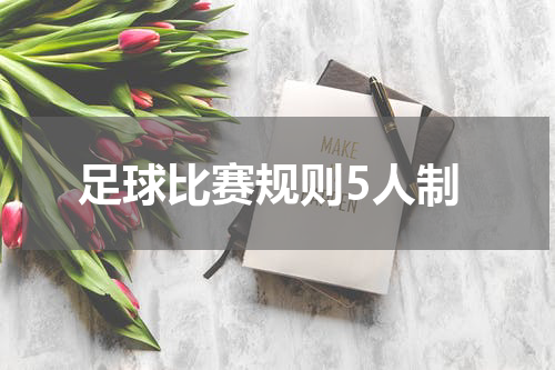足球比赛规则5人制