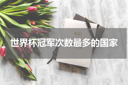 世界杯冠军次数最多的国家