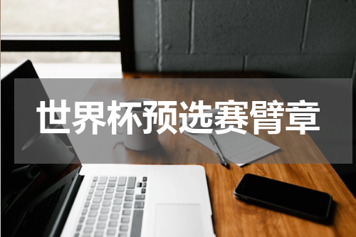 世界杯预选赛臂章
