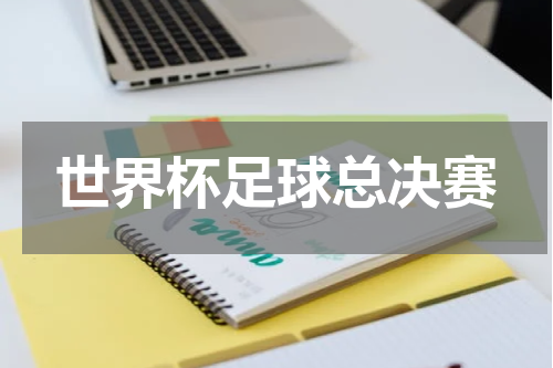 世界杯足球总决赛