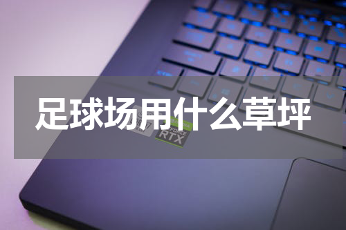 足球场用什么草坪