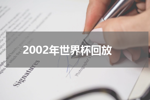 2002年世界杯回放