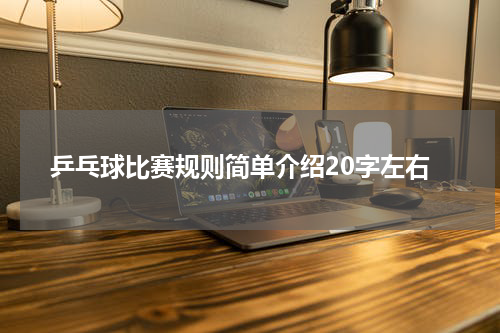 乒乓球比赛规则简单介绍20字左右