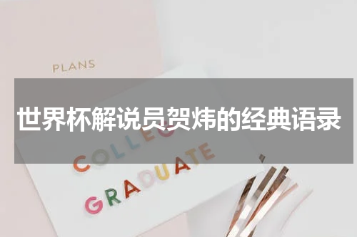 世界杯解说员贺炜的经典语录