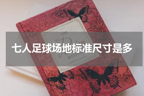 七人足球场地标准尺寸是多