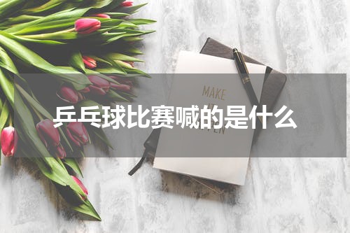 乒乓球比赛喊的是什么