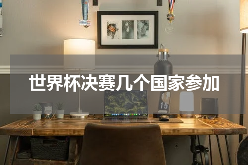 世界杯决赛几个国家参加