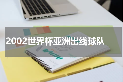 2002世界杯亚洲出线球队
