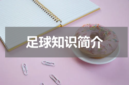 足球知识简介