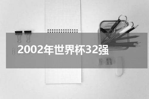 2002年世界杯32强