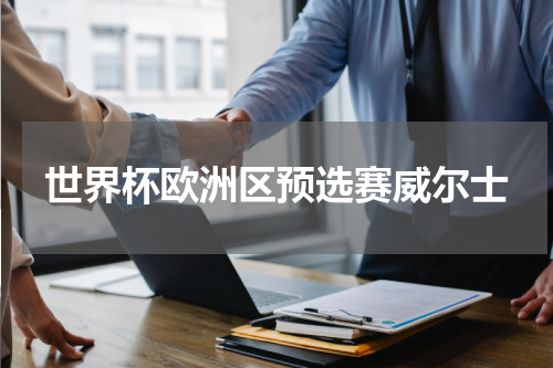 世界杯欧洲区预选赛威尔士