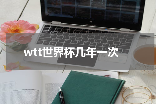 wtt世界杯几年一次