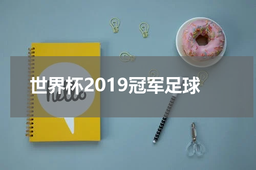 世界杯2019冠军足球