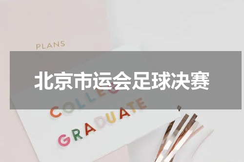 北京市运会足球决赛