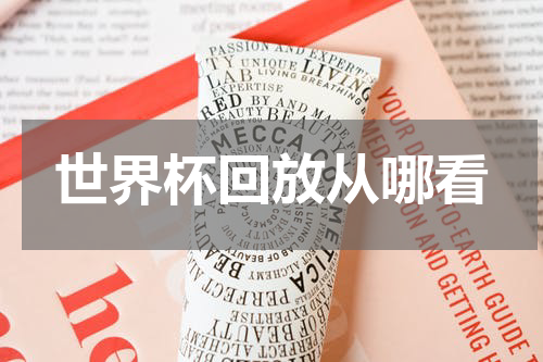 世界杯回放从哪看