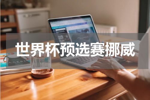 世界杯预选赛挪威