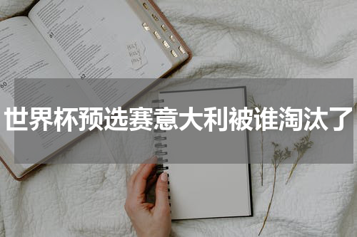 世界杯预选赛意大利被谁淘汰了