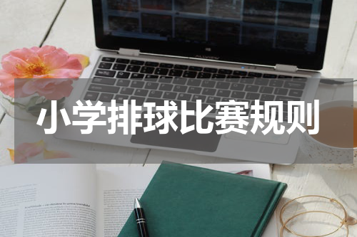 小学排球比赛规则