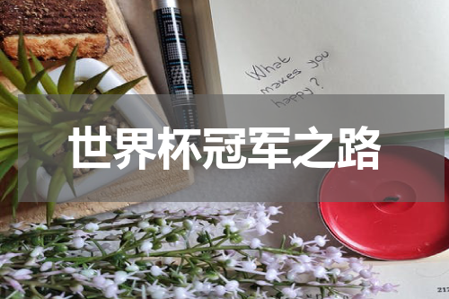 世界杯冠军之路