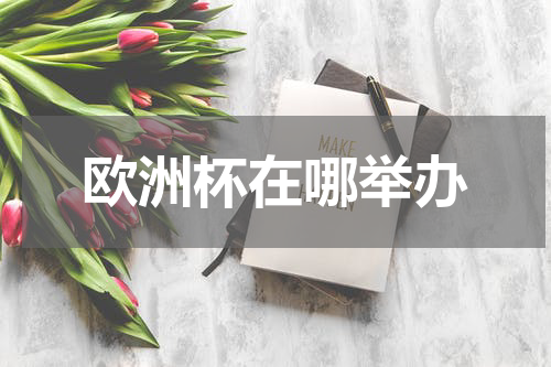 欧洲杯在哪举办