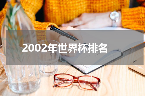 2002年世界杯排名