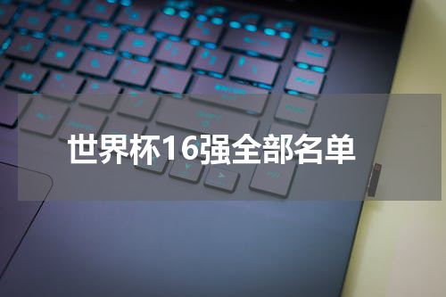 世界杯16强全部名单