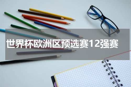 世界杯欧洲区预选赛12强赛