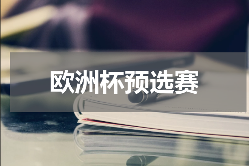 欧洲杯预选赛