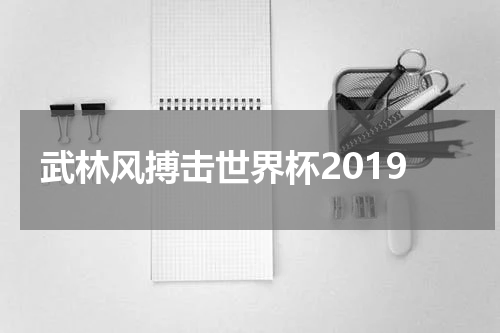 武林风搏击世界杯2019