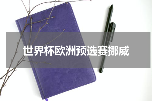 世界杯欧洲预选赛挪威