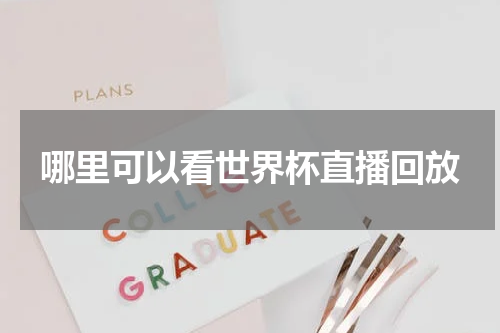 哪里可以看世界杯直播回放