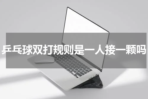 乒乓球双打规则是一人接一颗吗