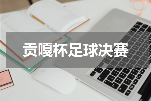 贡嘎杯足球决赛