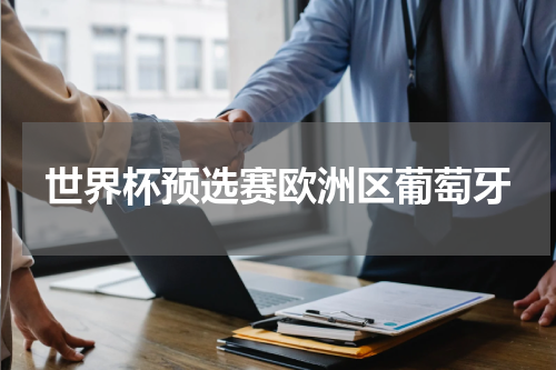 世界杯预选赛欧洲区葡萄牙