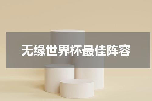 无缘世界杯最佳阵容