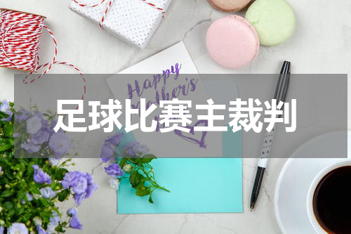 足球比赛主裁判