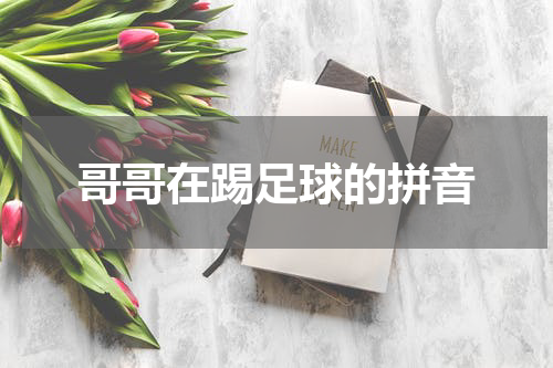 哥哥在踢足球的拼音