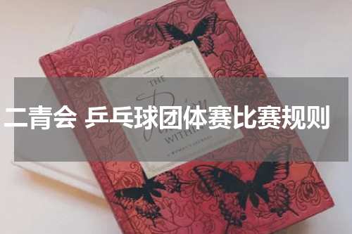 二青会 乒乓球团体赛比赛规则