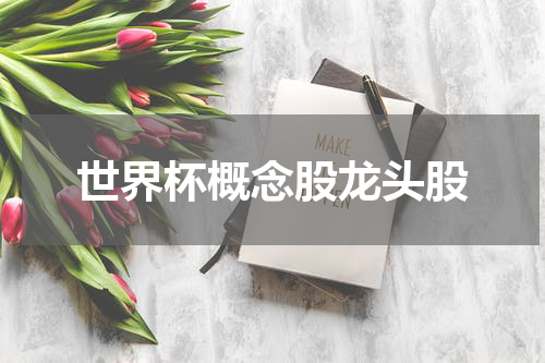世界杯概念股龙头股